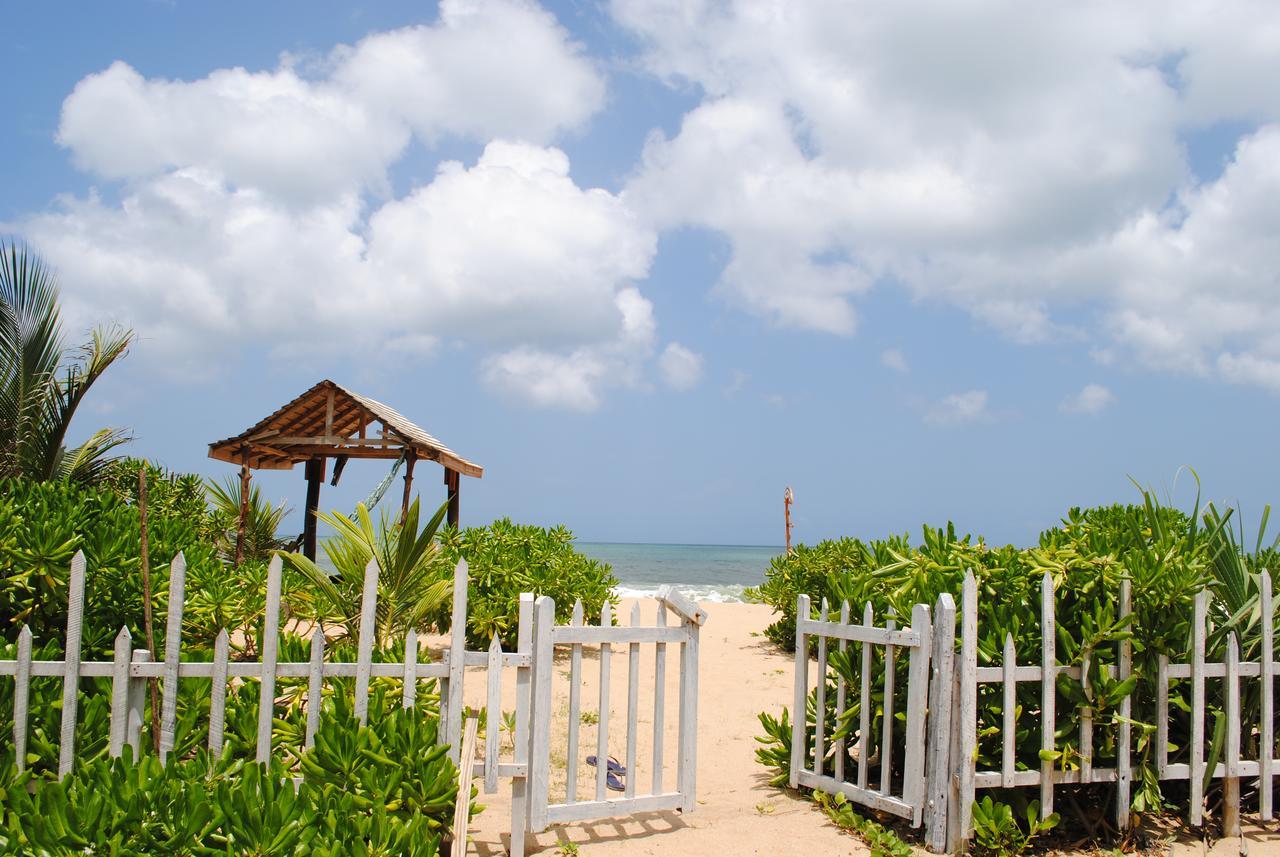 Asha Beach & Spa Tangalle Extérieur photo